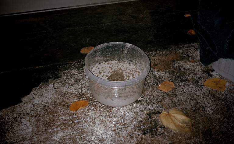 B_Ode_dokumentation_powder