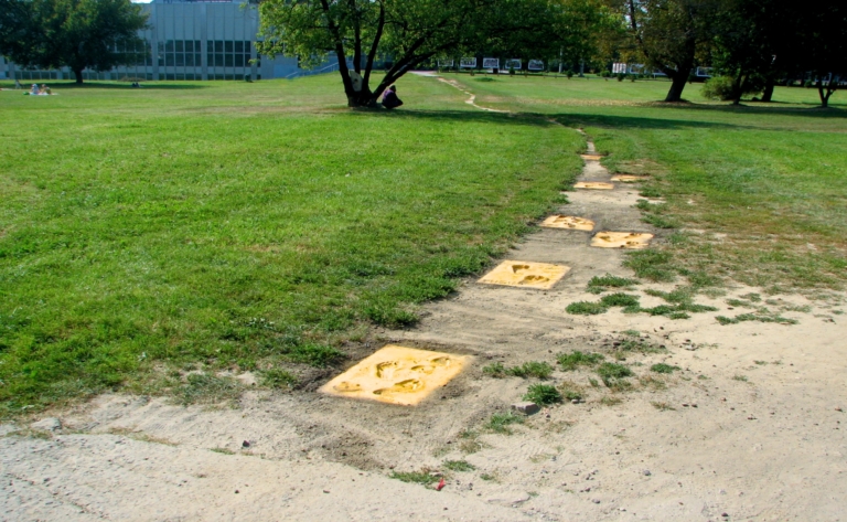 Public-art-ewa-wesolowska