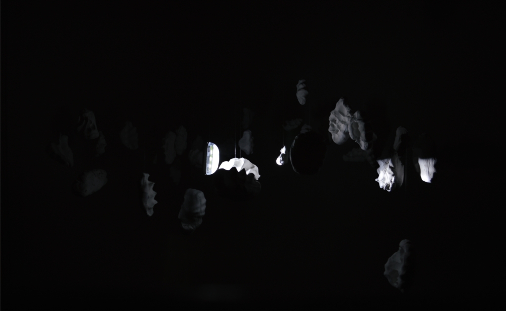 ewa-wesolowska-Music Box-sculpture-installation_1